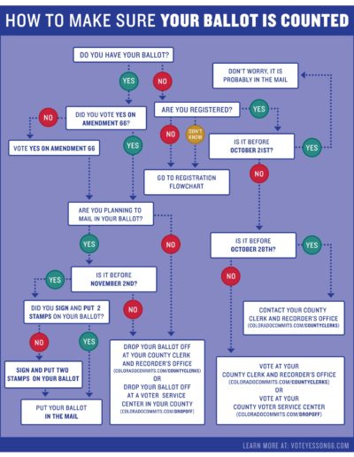 Amendment 66 “Make Sure Your Ballot Gets Counted” infographic