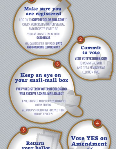 Amendment 66 “Voting in Colorado in 5 Easy Steps” infographic