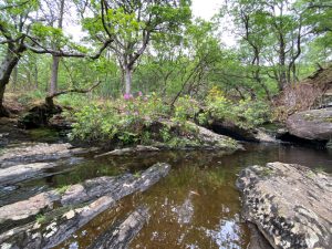 Creek for soaking feet at lunch time