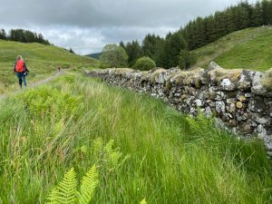 Old stone wall