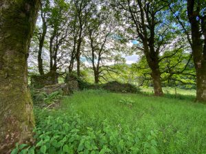 St. Fillan's Priory has seen better days