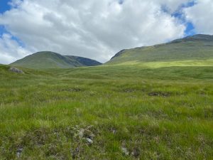 Just straight up stunning highlands scenery (though apparently all of this used to be trees!?)